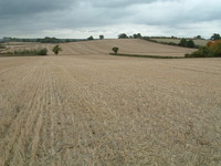 A field along the Three Forests Way