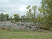 The lake in the middle of Hainault Park