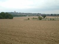 Farm views between Hainault Park and Havering Country Park