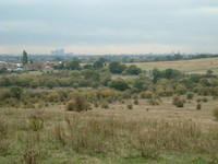 Farm views between Hainault Park and Havering Country Park