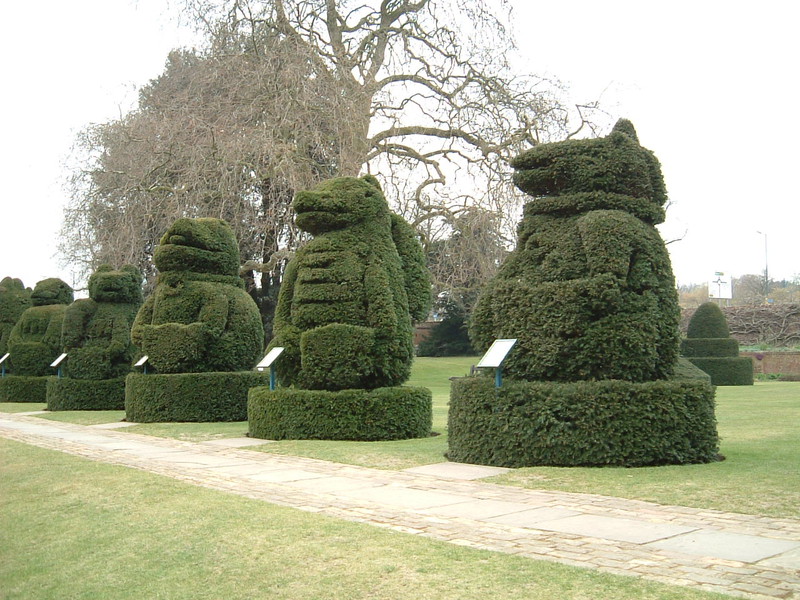 Topiary hedges at Hall Place