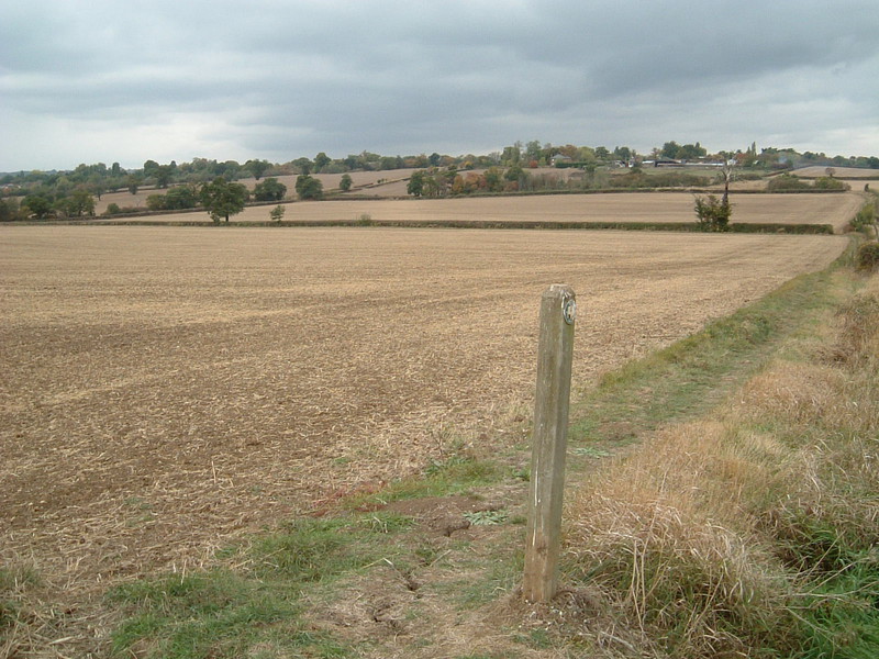 View across fields towards Chigwell