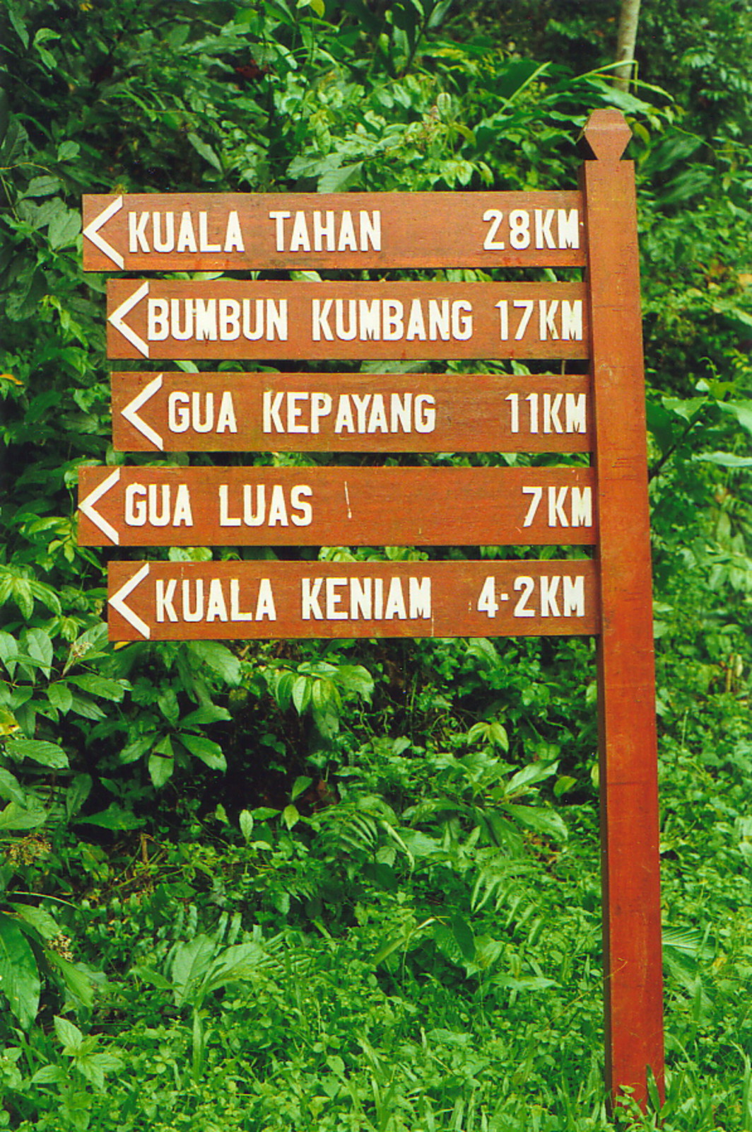 A jungle signpost at Kuala Perkai