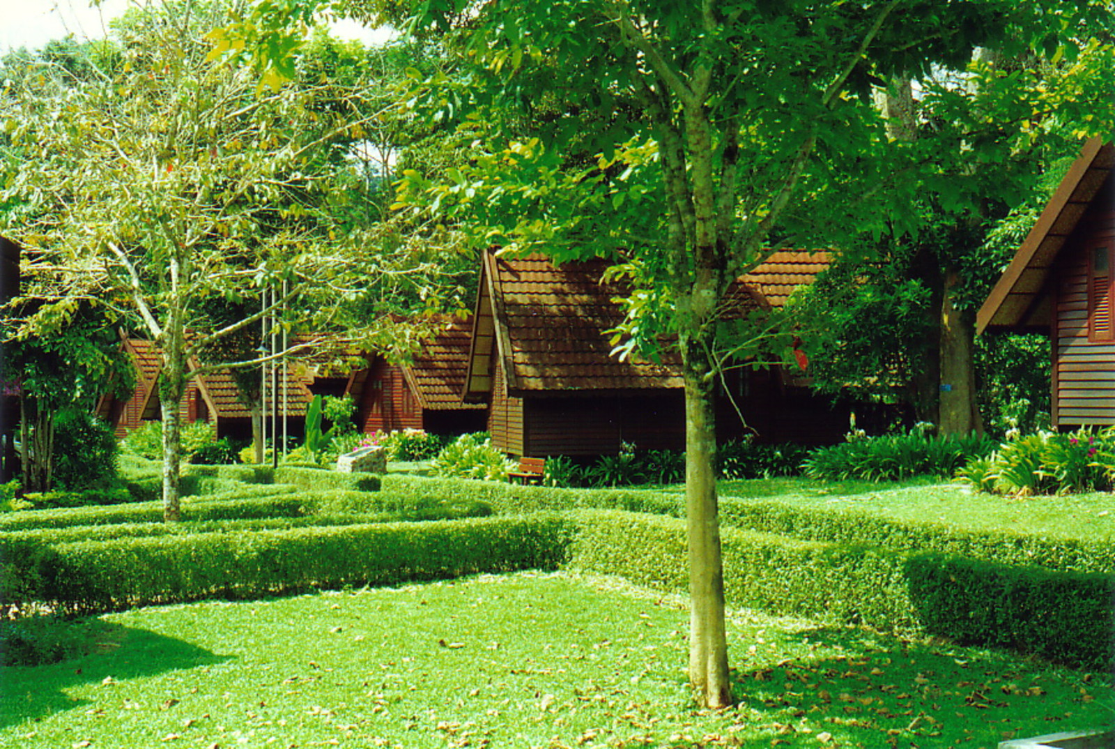 Taman Negara Resort