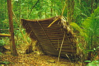 An Orang Asli 'lean-to'