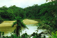Sungai Trenggan from Keniam Lodge