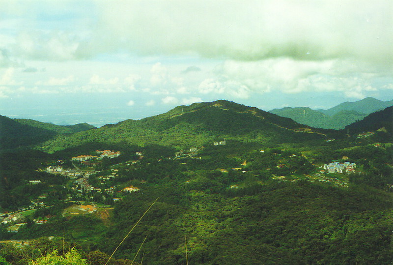 The rolling hills of the Cameron Highlands