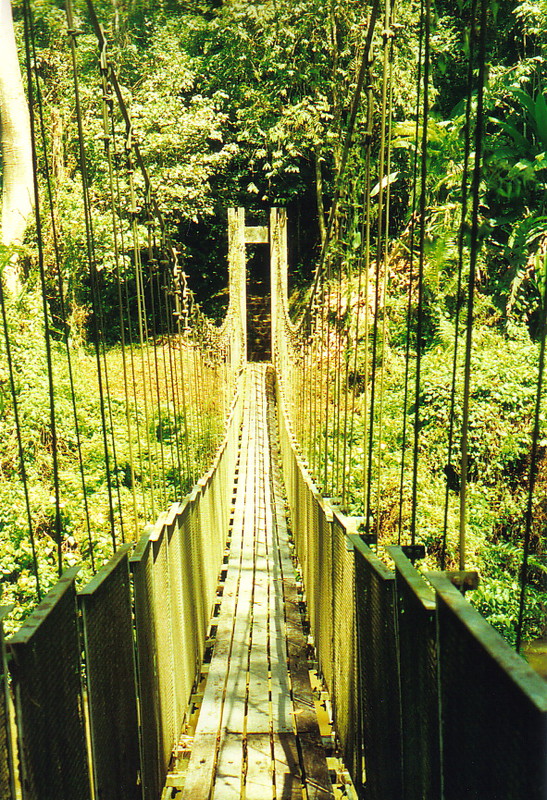 A bridge over the Sungai Trenggan