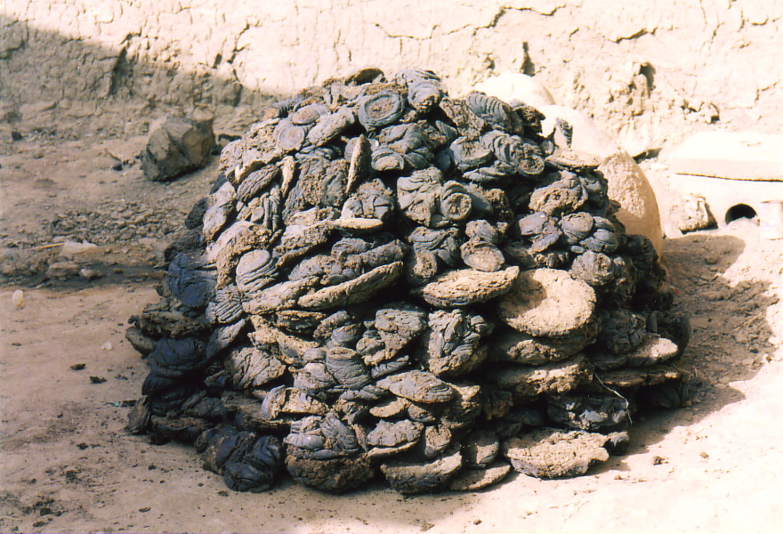 A pile of dung drying in the sun