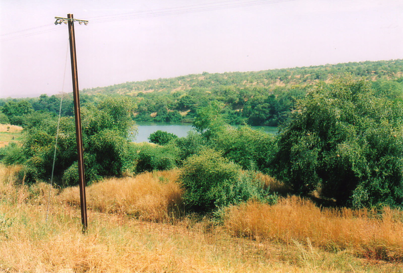 A glimpse of water from the Kayes-Bamako train