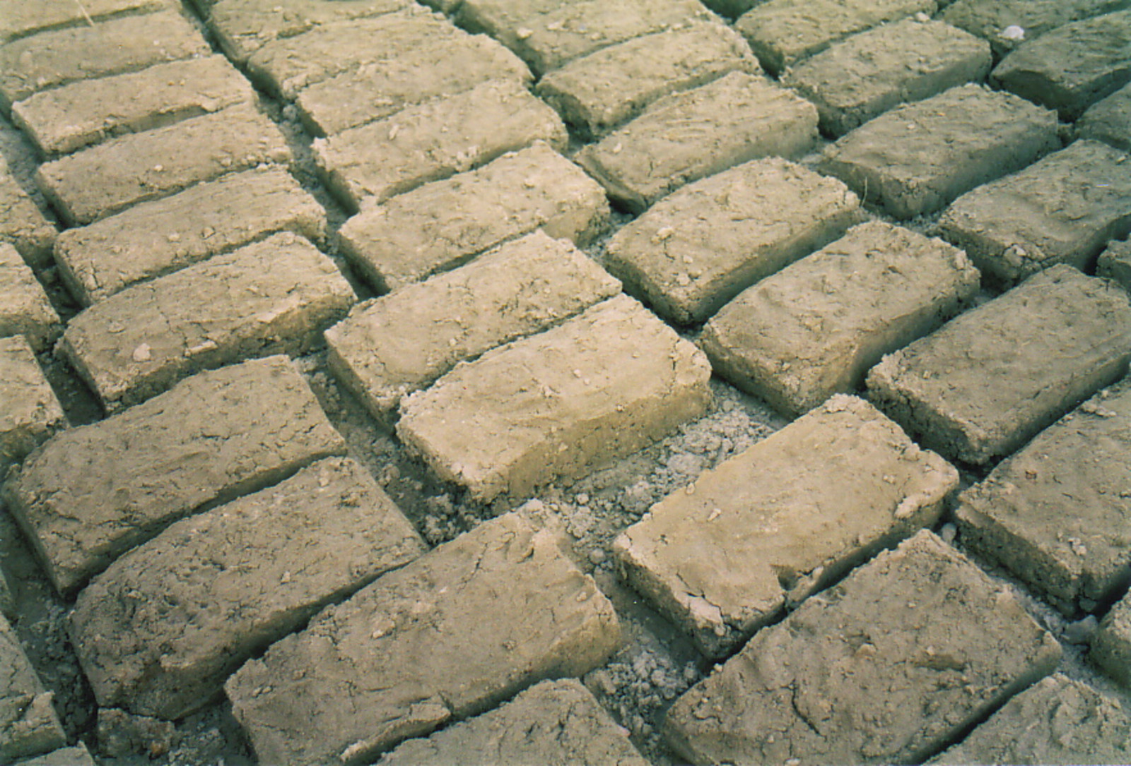 Mud bricks drying in the Timbuktu sun