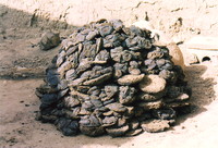 A pile of dung drying in the sun