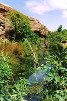 A rock pool in Dogon Country