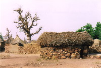 A granary, a boabab and a togu-na in Djiguibombo