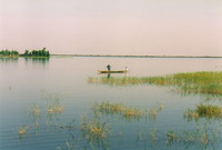 A fisherman in a boat on the River Niger near Tonka