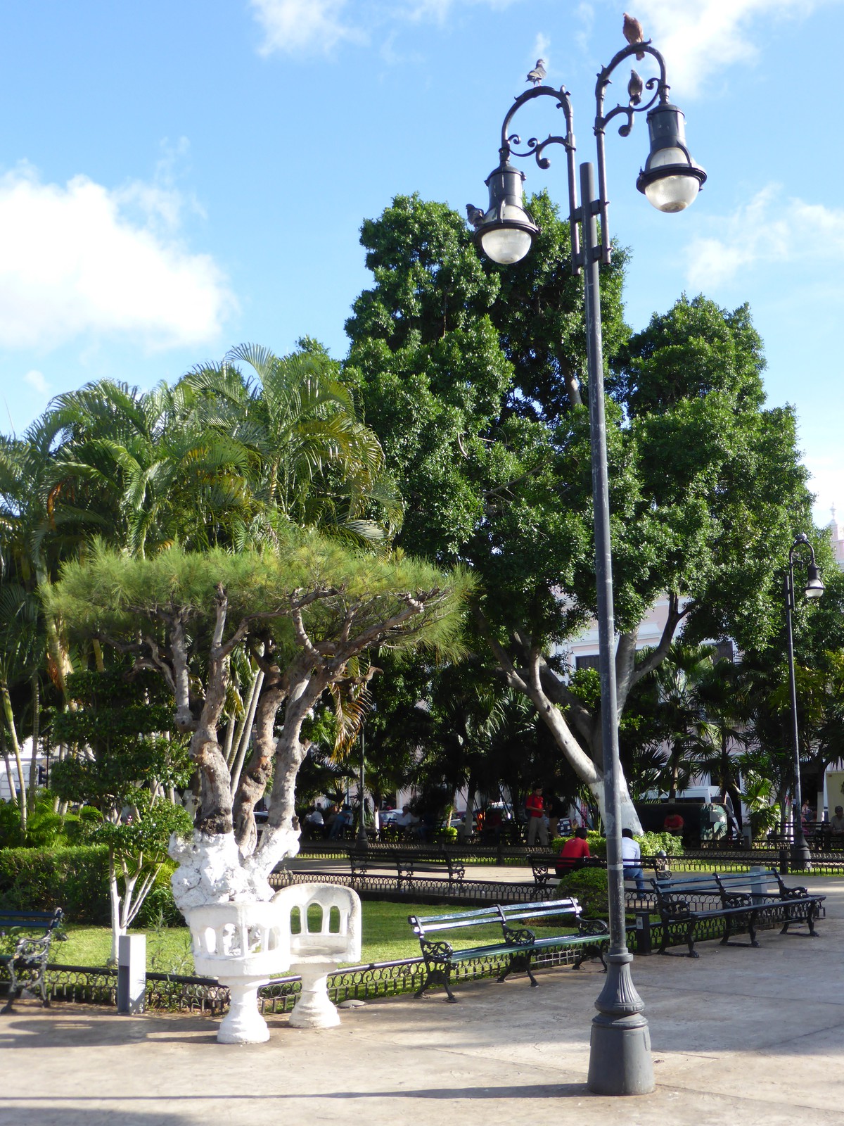 The pretty park in the middle of Plaza Grande