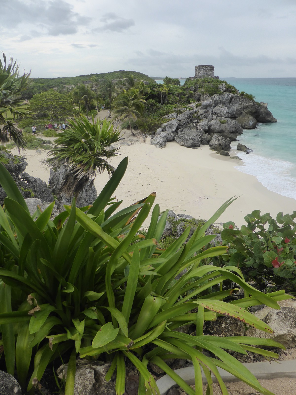 The view north from the Castillo