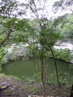 The Sacred Cenote