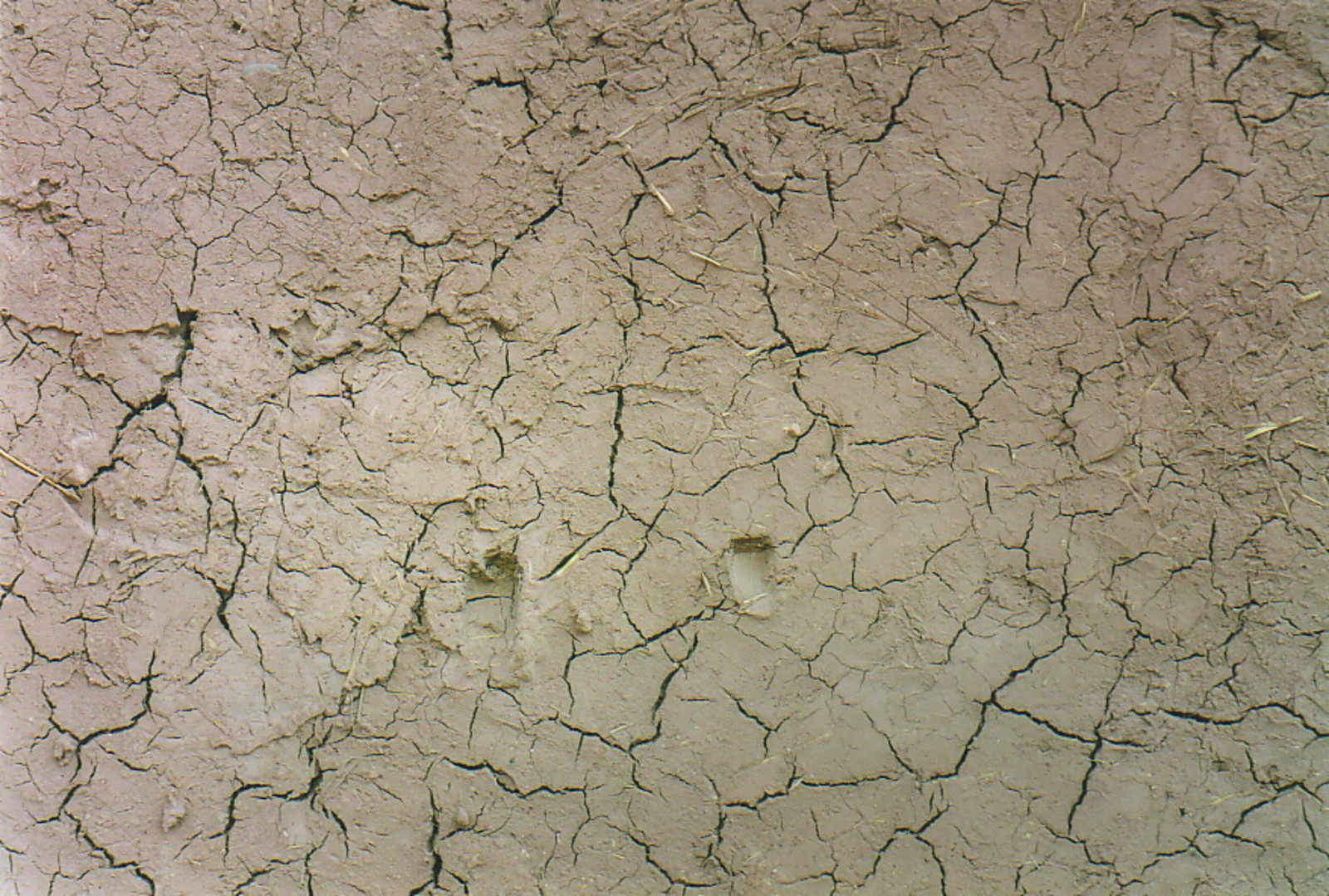 A mud wall