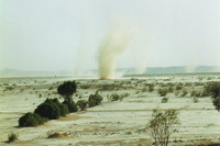 Whirlwinds in the desert near Merzouga