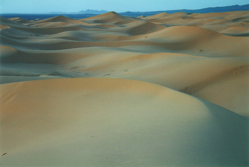 Dunes in the Sahara near Merzouga