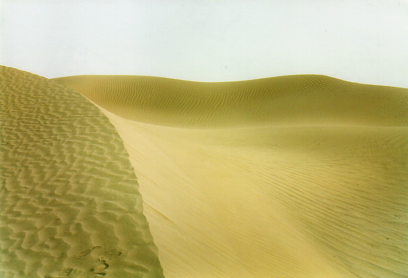 A sand dune near M'Hamid