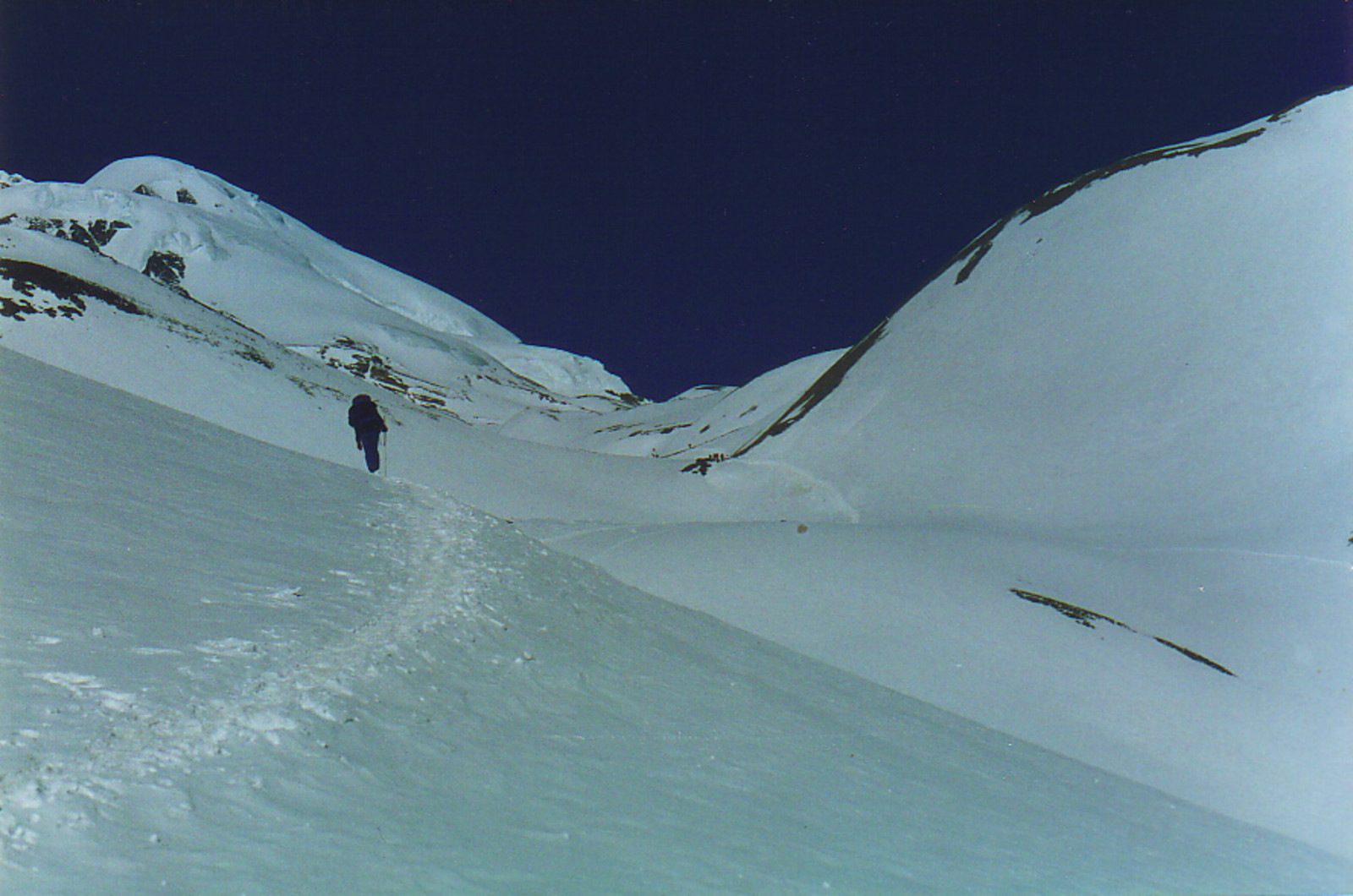 Walkers in the snow