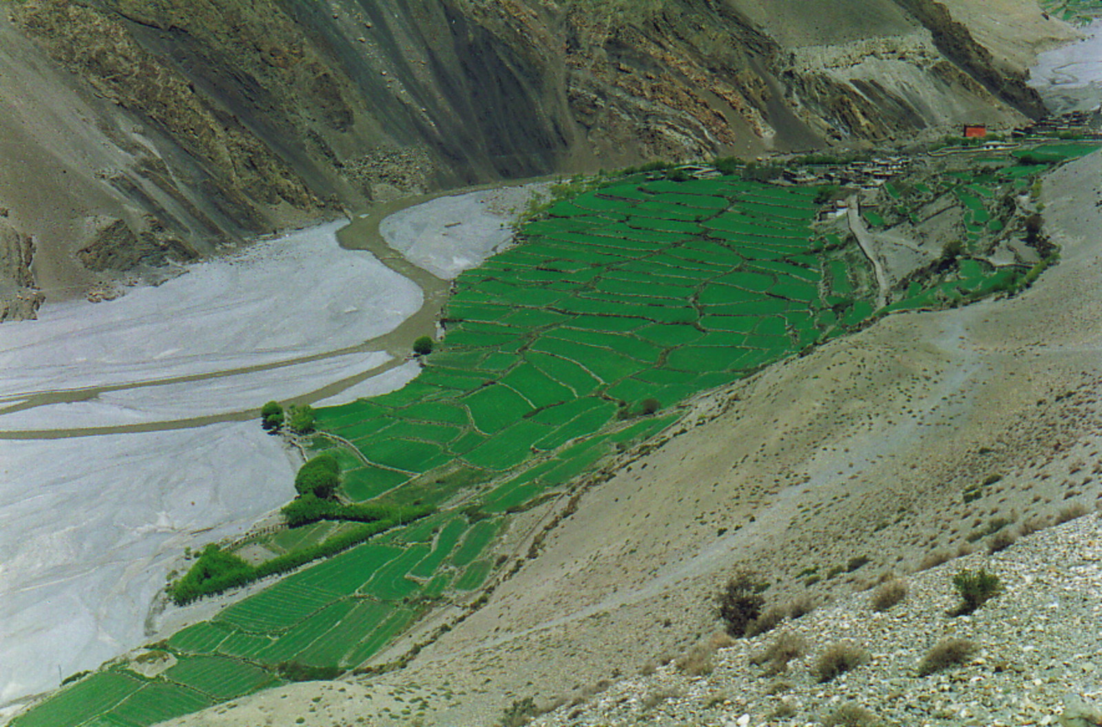 A fertile river valley near Kagbeni