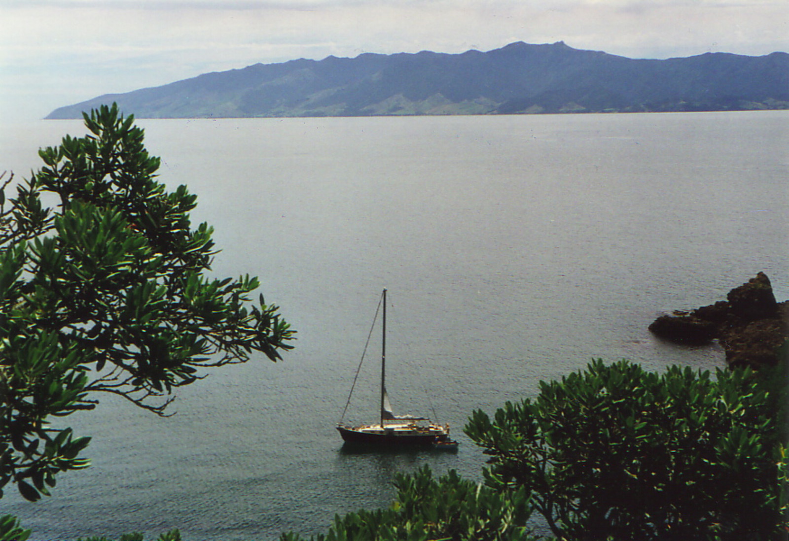 A yacht in the Coromandel peninsula