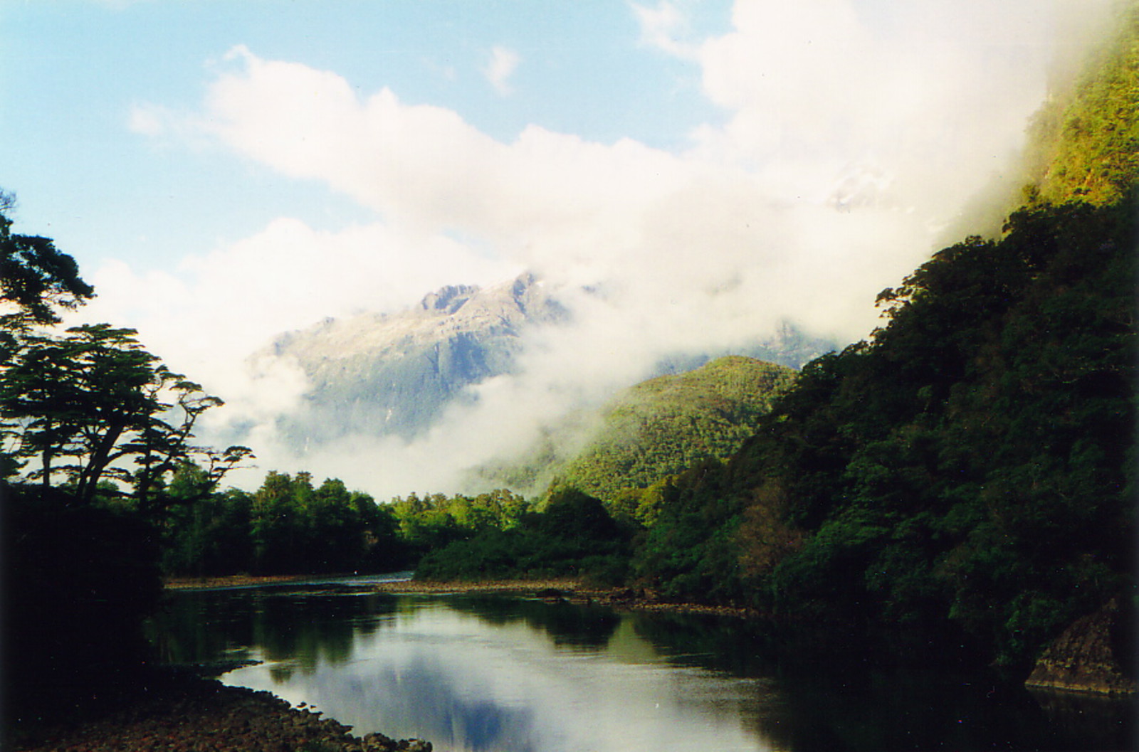 The Hollyford River