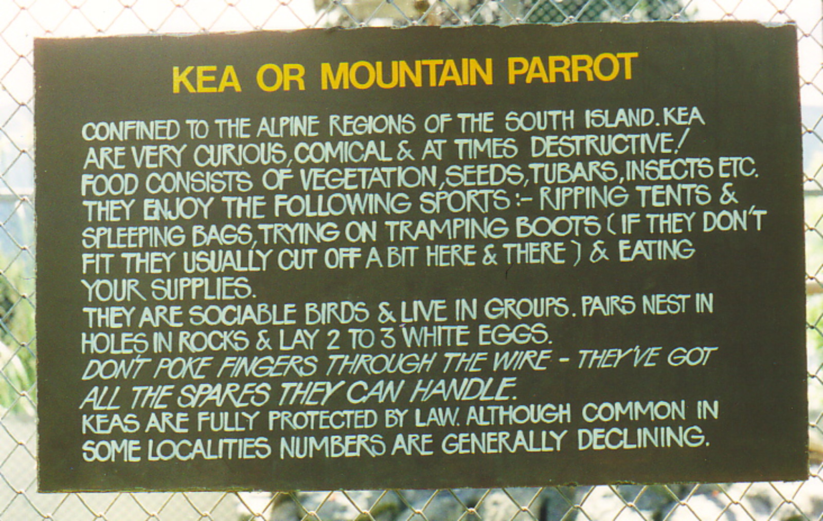 A warning sign about keas