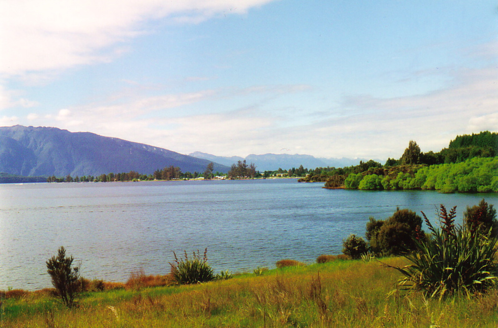 Te Anau