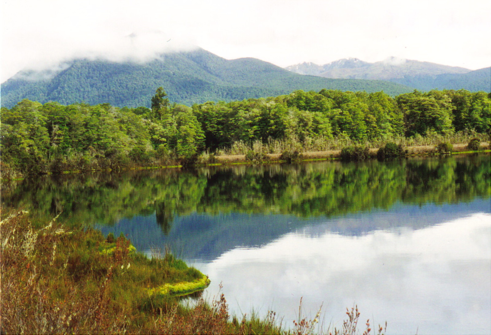 Lake Manapouri