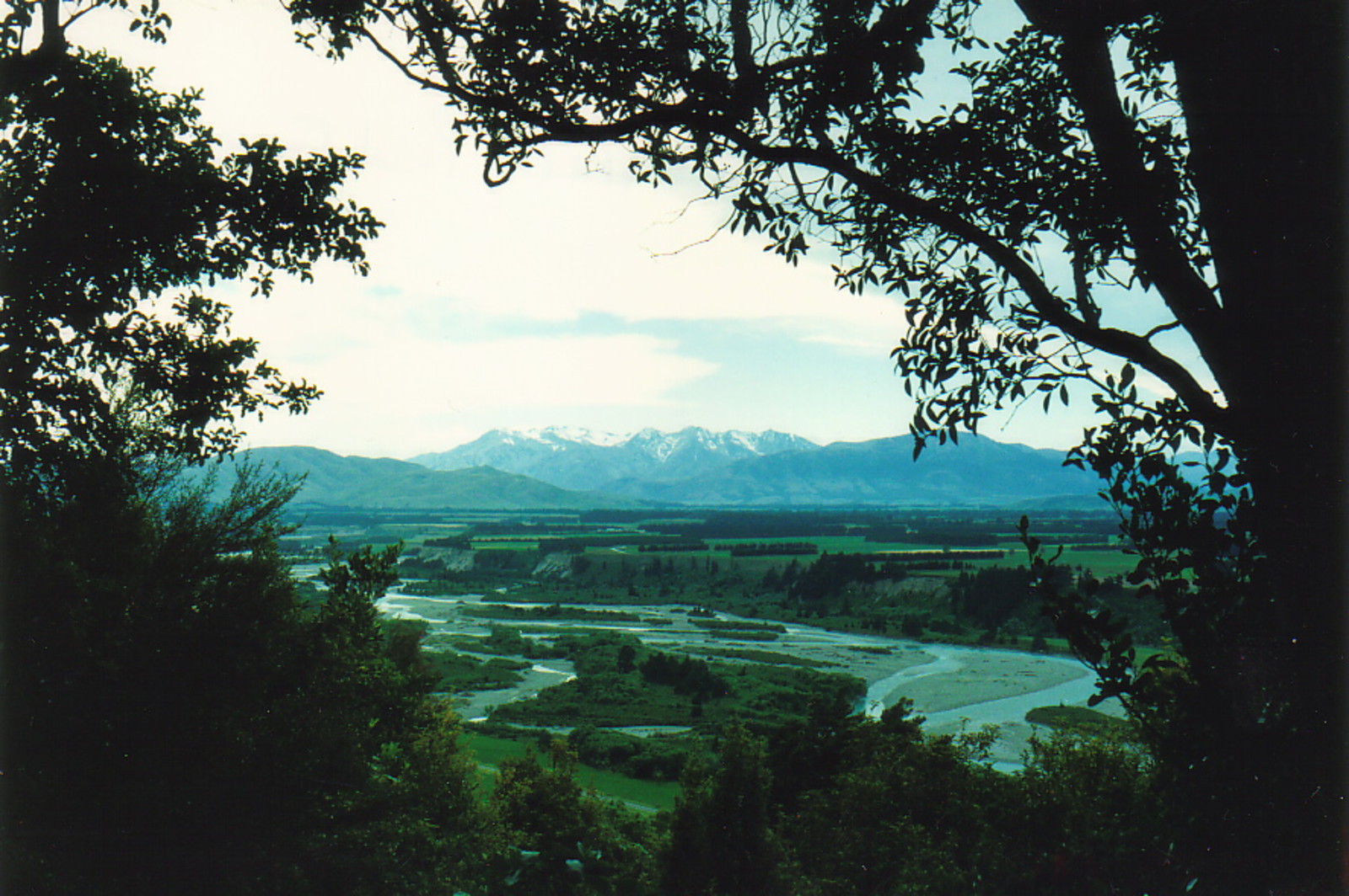 The view from Allan's Track, Peel Forest