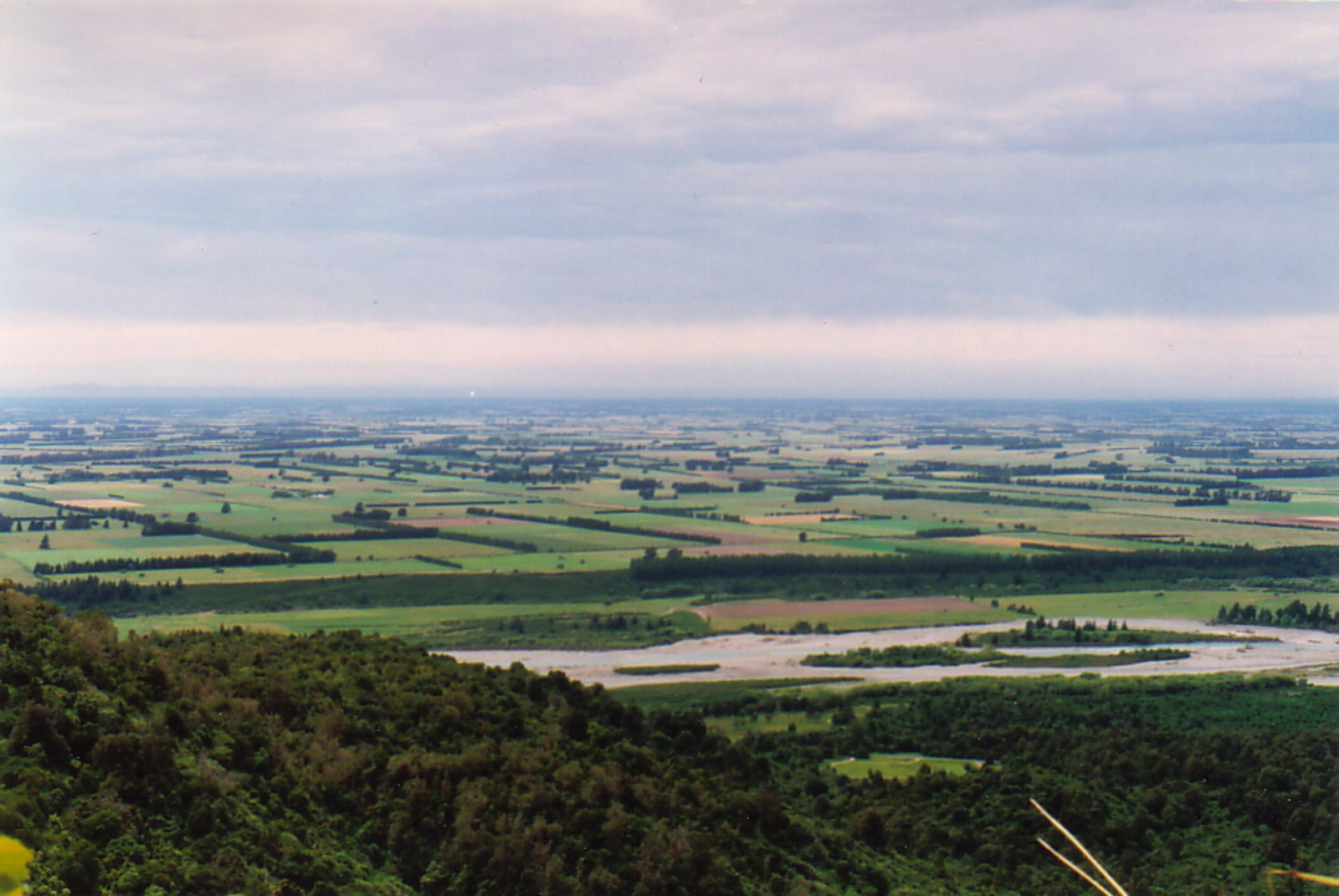 The Canterbury plains from Peel Forest