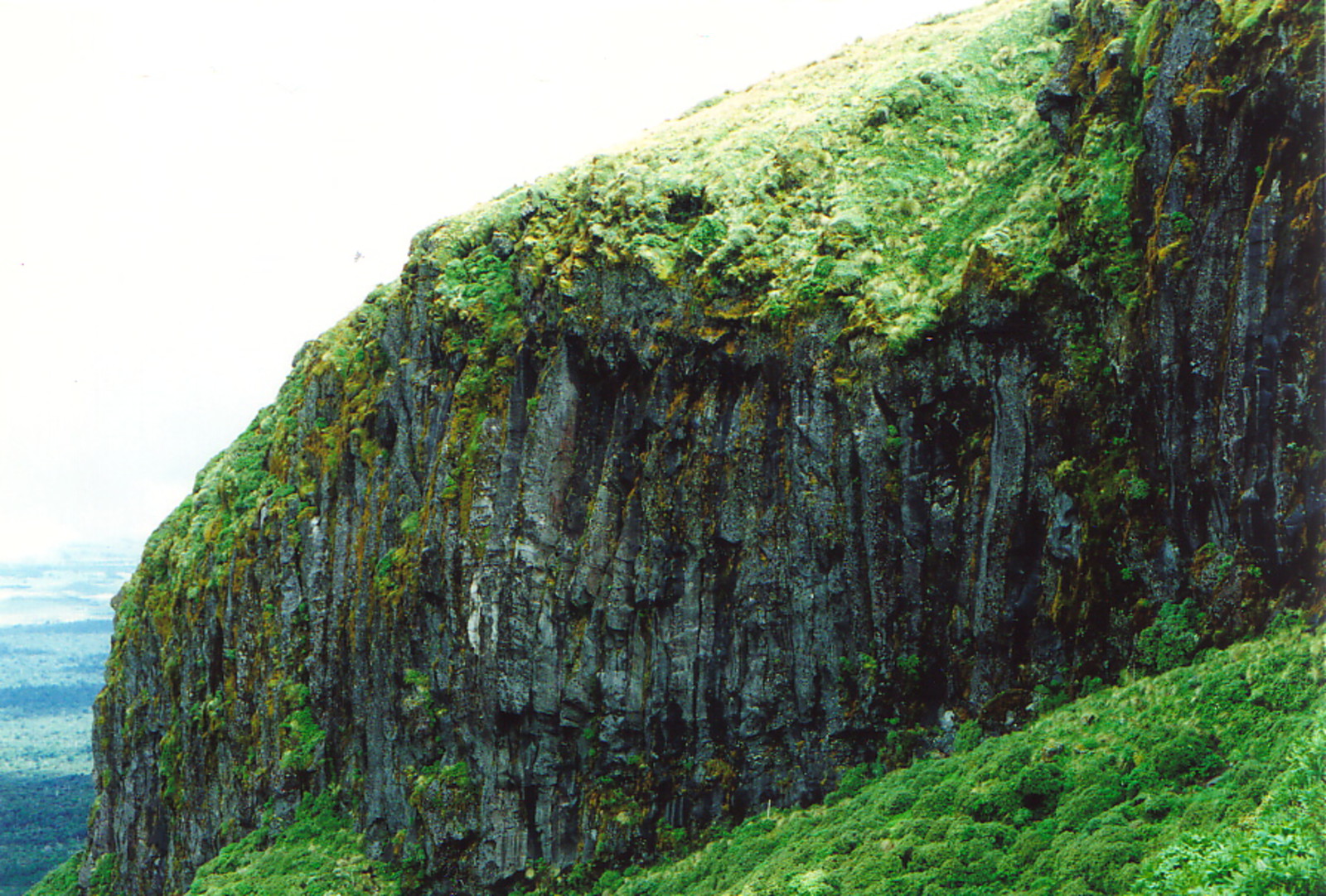 Strange lava shapes on Mt Taranaki