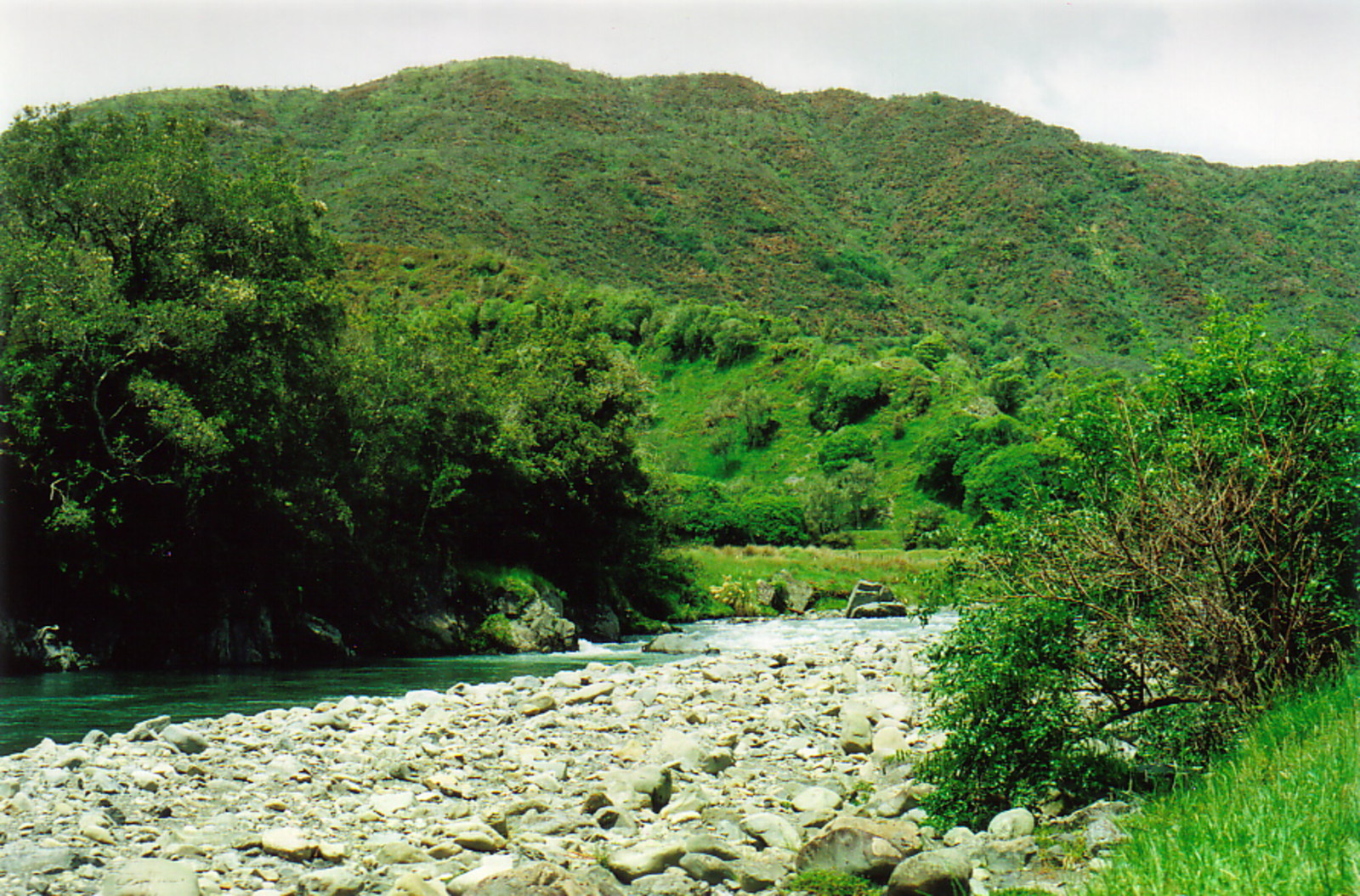 Otaki Forks