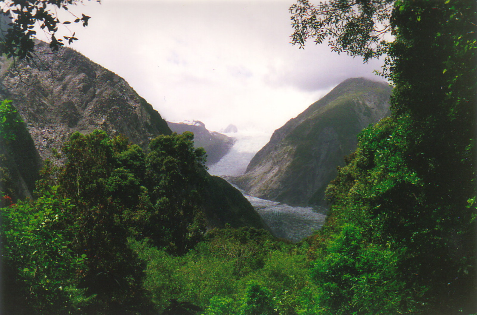 Fox Glacier