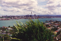 The Auckland skyline