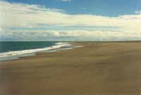 The beach at Whatipu