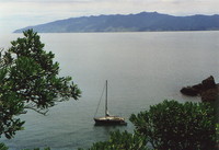 A yacht in the Coromandel peninsula