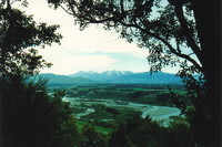 The view from Allan's Track, Peel Forest