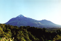 Mt Taranaki from Waiaua Gorge