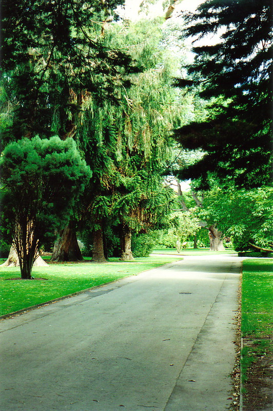 The botanic gardens of Christchurch