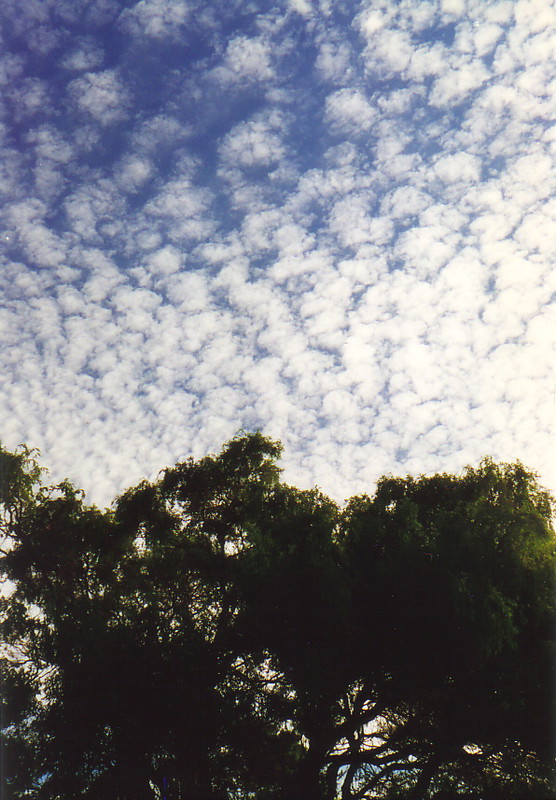 The trippy sky of Mahia