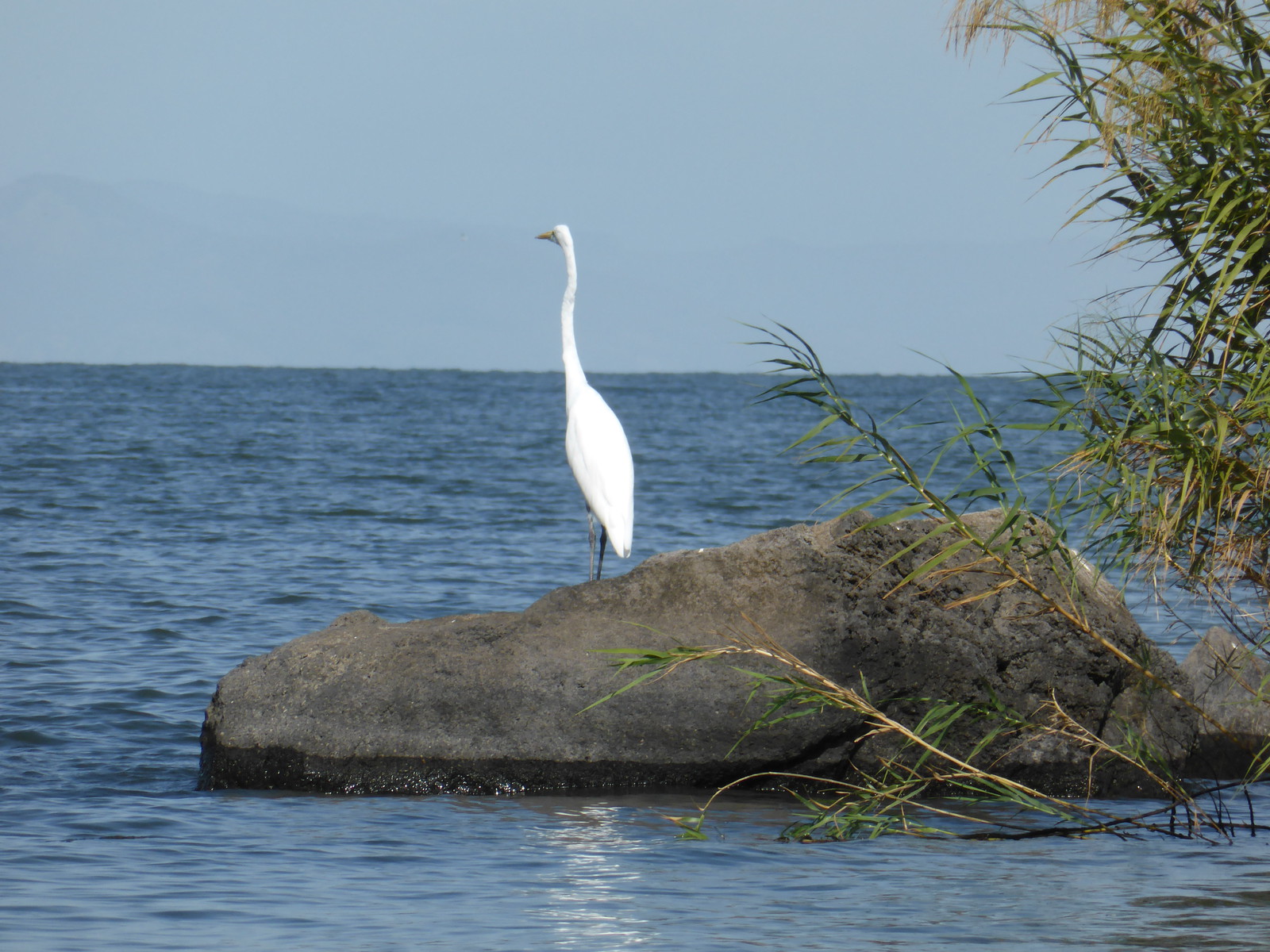 Lago de Nicaragua