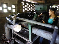 Karla with the de-pulping machine