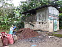 The de-pulping plant, where workers are collecting the bean skins to use as fertiliser