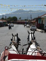 The view from the horse-drawn carriage tour