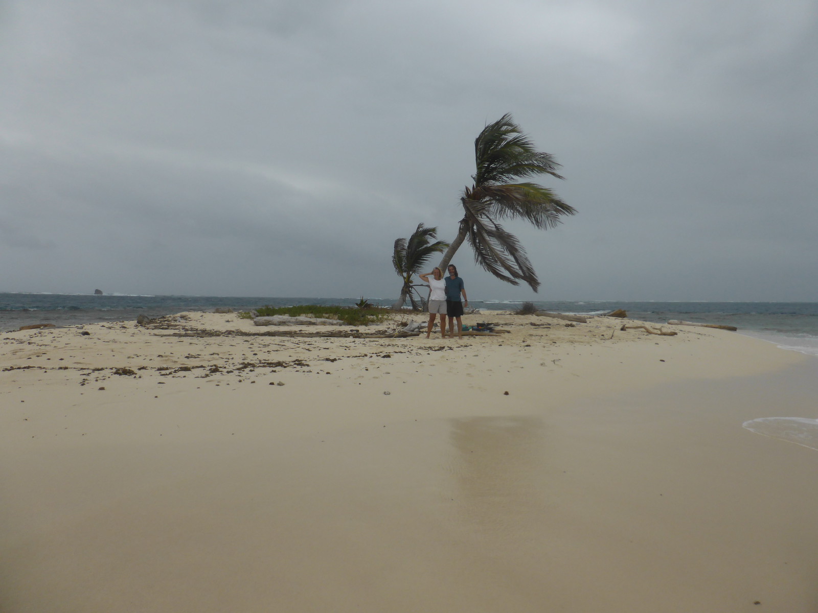 Marooned on two-palm island